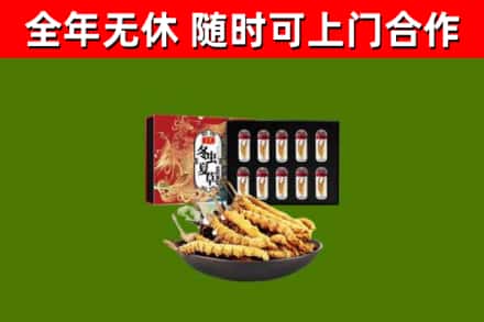 阳春回收冬虫夏草价格