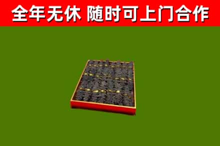 阳春烟酒回收海参.jpg
